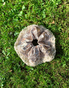 Scrunchie Beige